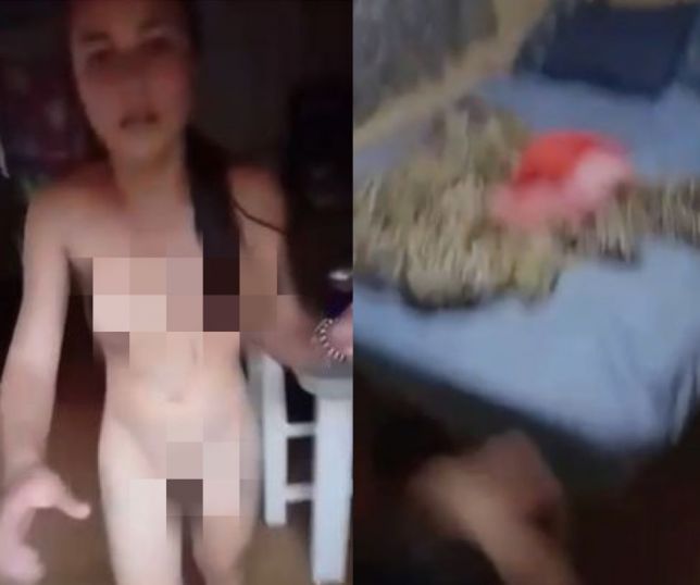 Notícias Marido flagra a esposa nua outro homem e filma tudo