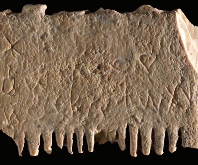 Notícias Pequeno pente de 3 700 anos usado para tirar piolho pode