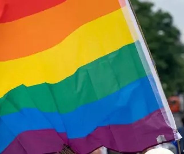 Not Cias Senado Dos Eua Aprova Prote O Ao Casamento Gay Portal Do