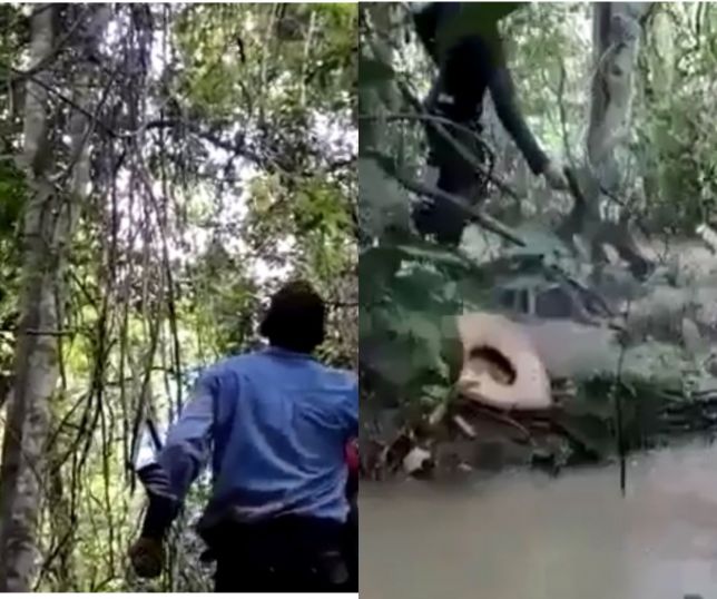 Peão é brutalmente atacado por onças, imagens fortes! - CompreRural