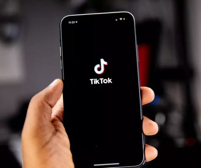 Notícias | Por Que O TikTok Está Sendo Banido Em Todo O Mundo? | Portal ...