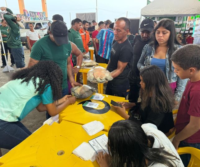 Avanço histórico: Amazonas promove pela primeira venda legal de quelônios manejados em Carauari