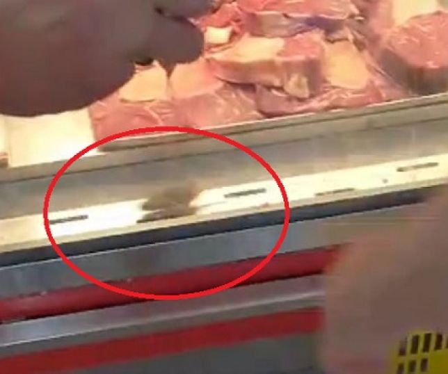 Clientes encontram e filmam rato dentro do expositor frigorífico de carnes no Supermercado Rodrigues, Zona Norte de Manaus. VEJA VÍDEO