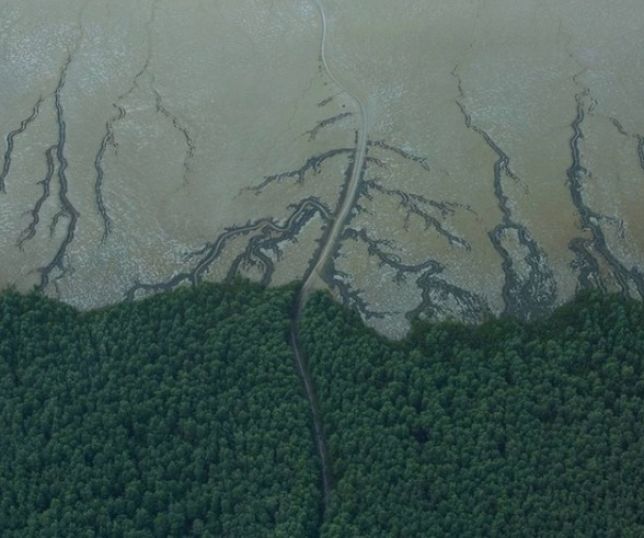 Ibama aprova plano para licenciamento da exploração na Bacia da Foz do Amazonas