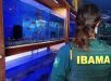 Ibama divulga resultados de provas de concurso público