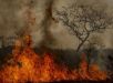 Área queimada no Brasil em 2024 equivale ao território da Itália