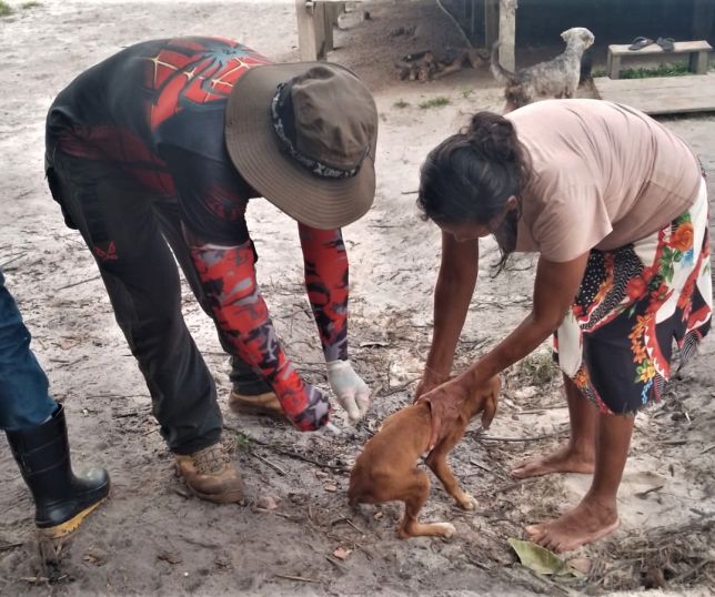 Prefeitura imuniza cães e gatos contra raiva em comunidades ao longo das rodovias AM-010 e BR-174