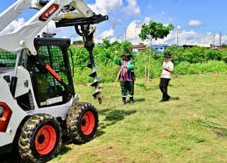 Prefeito David Almeida avança no reflorestamento urbano com mecanização da arborização em Manaus