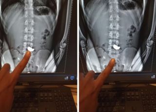 Homem engole corrente de ouro roubada ao ser abordado por policiais