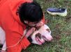 Lutador de muay thai alega ataque de pitbulls e imobiliza animais. VEJA VÍDEO