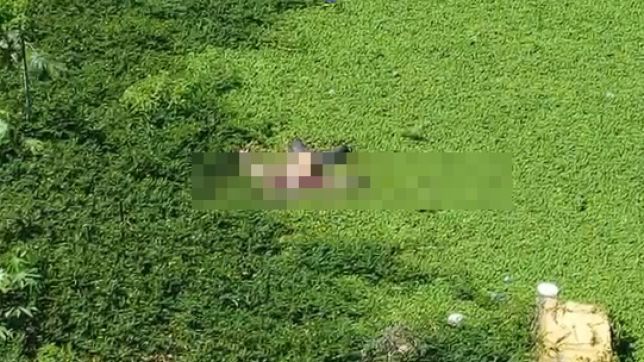 IMAGENS FORTES! CORPO EM AVANÇADO ESTADO DE DECOMPOSIÇÃO É ENCONTRADO POR MORADORES EM COMUNIDADE NO CENTRO DE MANAUS, ZONA SUL. VEJA VÍDEO