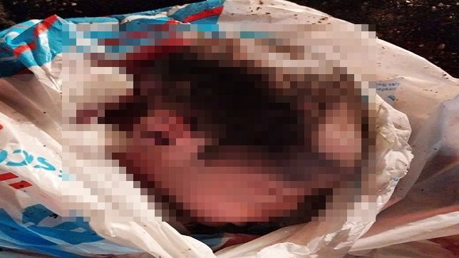 CRIME MONSTRUOSO! MORADORES ENCONTRAM CORPO DE BEBÊ RECÉM-NASCIDO JOGADO EM LIXEIRA NA COMUNIDADE SANTA INÊS, ZONA LESTE DE MANAUS