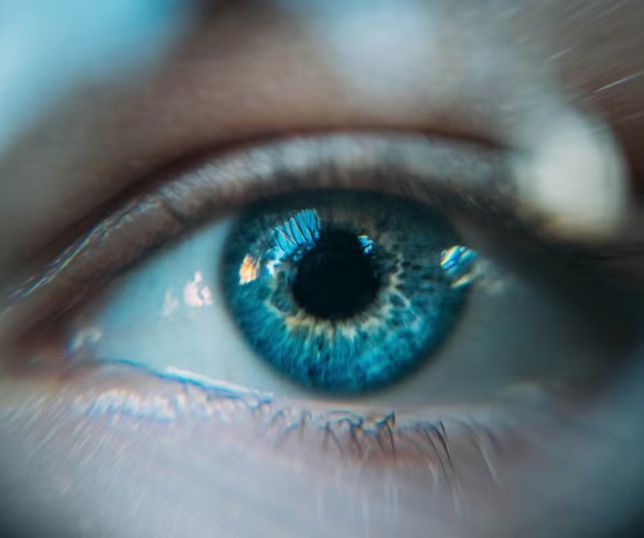 Como surgiram outras cores de olhos além do castanho? Veja o que diz a ciência