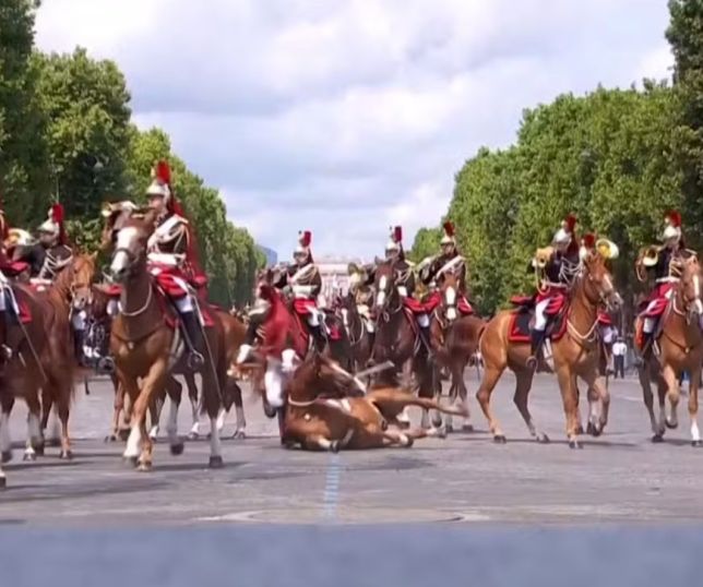 Tombo de cavalo e soldado sangrando roubam a cena em desfile no Dia da Bastilha na França. VEJA VÍDEO