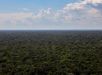 Amazônia ganha plano de investimentos por organizações sociais