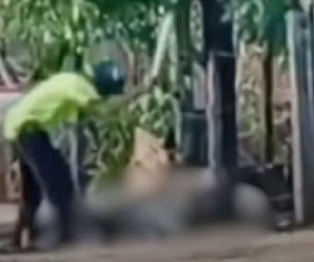 IMAGENS FORTES! Idoso é preso após espancar esposa com pedaço de madeira no meio da rua.VEJA VÍDEO