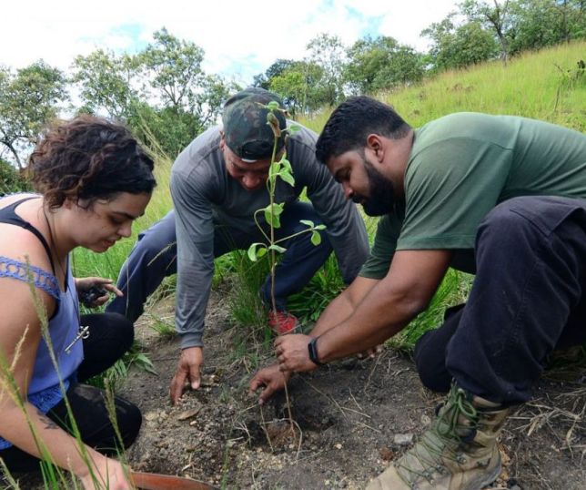 Rio: mutirão na Serra do Vulcão promove ações climáticas da periferia