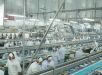 BRF tem lucro recorde e reduz dívida ao menor nível histórico