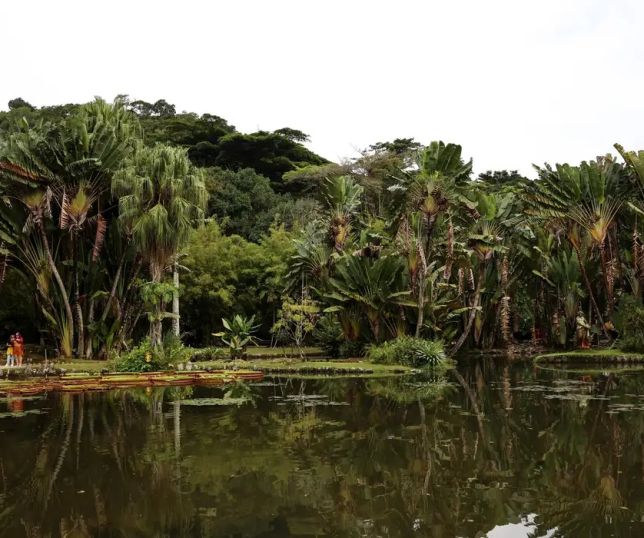 Concurso de Fotografia integra programação do Dia Mundial da Limpeza