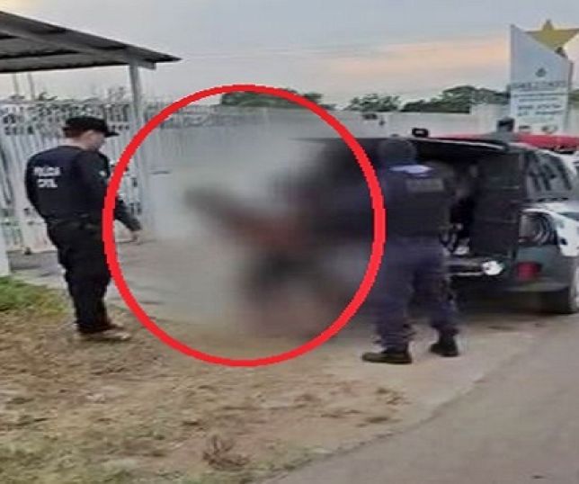 Mãe e filho são presos por crime de tráfico de drogas no município de Boa Vista do Ramos, interior do Amazonas. VEJA VÍDEO