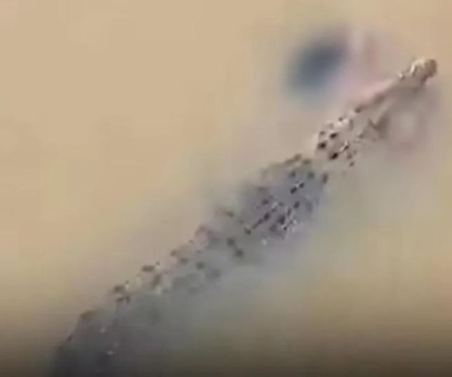 Crocodilo é filmado carregando corpo de mulher em rio. VEJA VÍDEO
