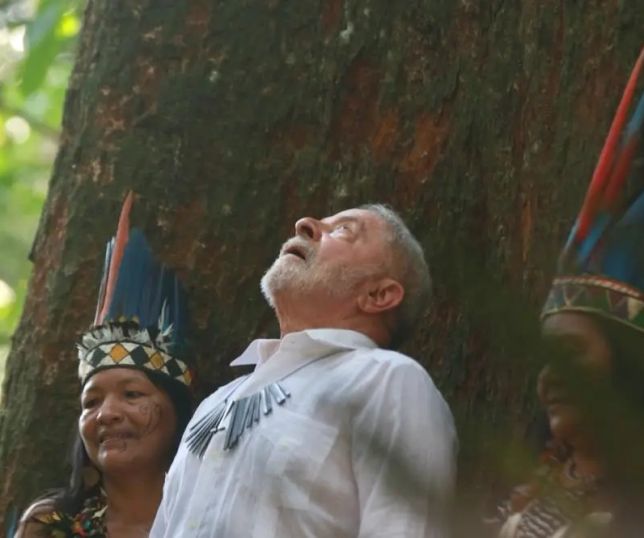 Governo Lula concede nove florestas públicas na Amazônia à gestão da iniciativa privada
