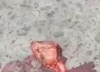 IMAGENS FORTES! Coração de vítima de acidente com carreta continua a pulsar no asfalto, fora do corpo. VEJA VÍDEO