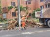 Prefeitura intensifica combate às lixeiras irregulares e retira 3,7 mil toneladas de resíduos em setembro