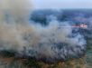 Dos 47,3% da devastação global aos 6 milhões de hectares de florestas perdidos: o desmatamento no Brasil em números