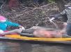 Ribeirinhos encontram corpo de pescador que estava desaparecido há três dias na zona rural de Nova Olinda do Norte, interior do Amazonas