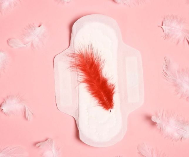 Menstruação: ciclo regular não é sinônimo de saúde; entenda melhor