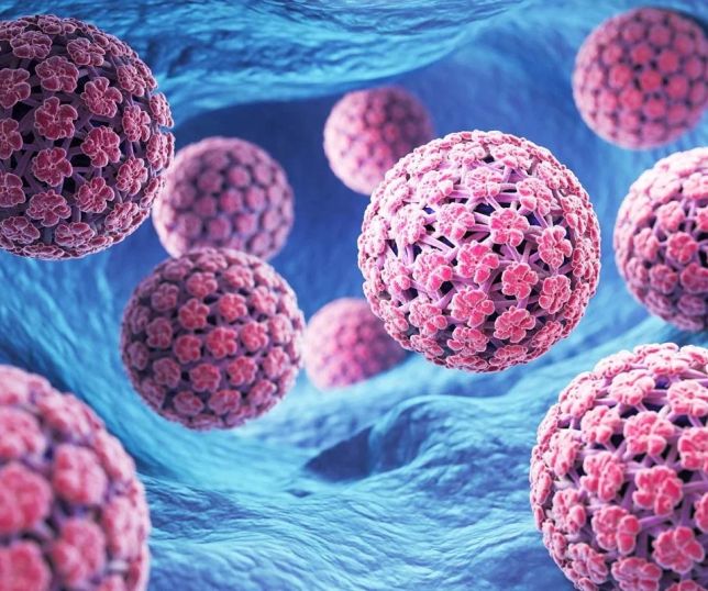 64% dos homens não sabem que o HPV pode causar câncer, mostra estudo