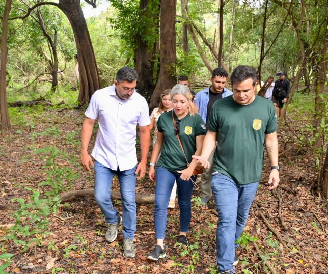 Governador Wilson Lima autoriza estrutura flutuante que fortalece o manejo de jacarés na Reserva Mamirauá