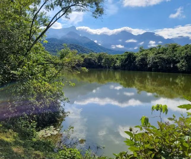 Firjan lança estudo sobre soluções baseadas na natureza para enfrentar efeitos das mudanças climáticas