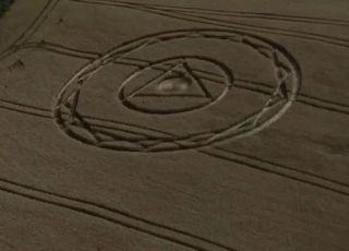 Desenho misterioso surge em plantação de trigo em Santa Catarina