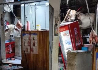 Vaca cai em telhado de restaurante no Ceará e causa destruição. VEJA VÍDEOS 