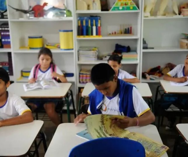 Homeschooling compromete processo de aprendizagem, diz especialista