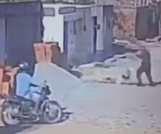 Policial atira e mata pitbull que atacou poodle de estimação no Ceará. VEJA VÍDEO