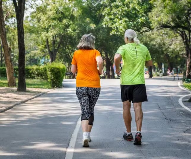 Qual é o exercício que ajuda a proteger os joelhos de adultos mais velhos?