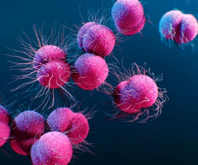 Preocupação com gonorreia resistente cresce e novos remédios avançam