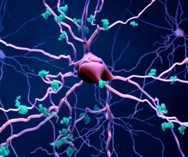 Alzheimer: medicamento pode reduzir morte de neurônios, indica estudo