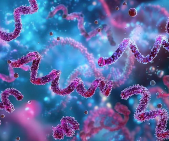 Infectologista aponta sintomas iniciais das infecções de HIV e sífilis