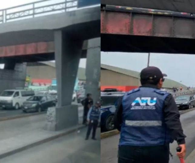 IMAGENS FORTES! Mulher morre após cair de uma ponte e ser atropelada logo em seguida por um ônibus. VEJA VÍDEO