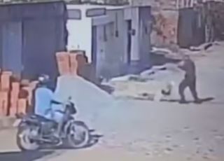 Policial atira e mata pitbull que atacou poodle de estimação no Ceará. VEJA VÍDEO