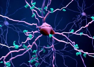 Alzheimer: medicamento pode reduzir morte de neurônios, indica estudo