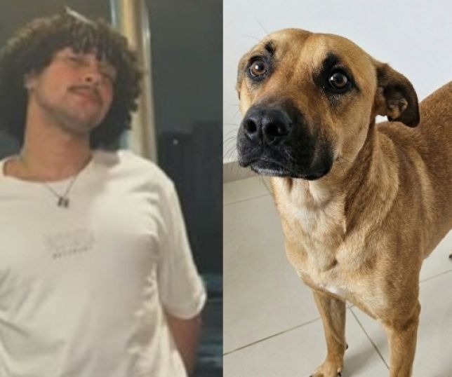 Influencer perde celular em Manaus e polícia descobre vídeos dele abusando de cadela. VEJA VÍDEO