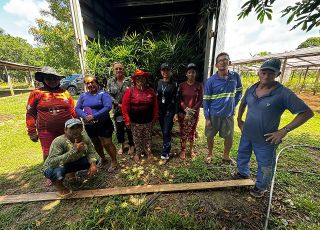 Em produção em alta no Amazonas, açaí é reconhecido oficialmente como fruta autenticamente brasileira