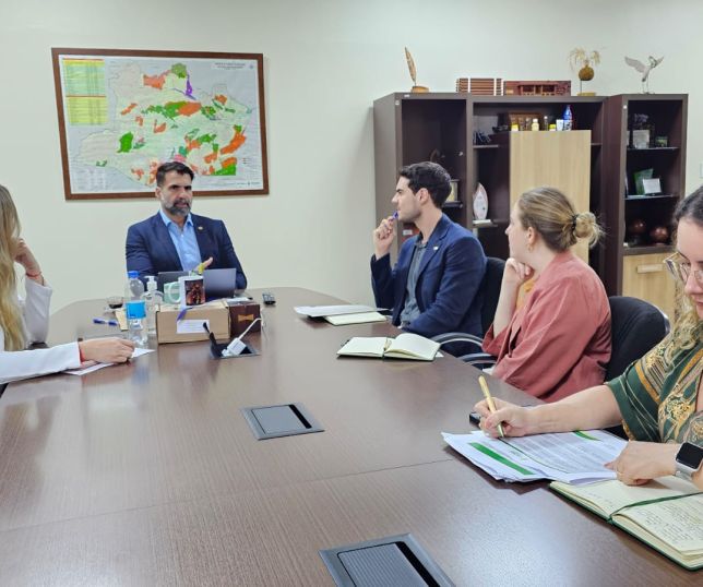 Sema Amazonas recebe reconhecimento da Embaixada da Irlanda por queda no desmatamento e nas queimadas