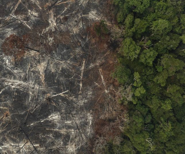 Plano Clima segue incompleto e sem publicação oficial após 50 dias de anúncio do governo