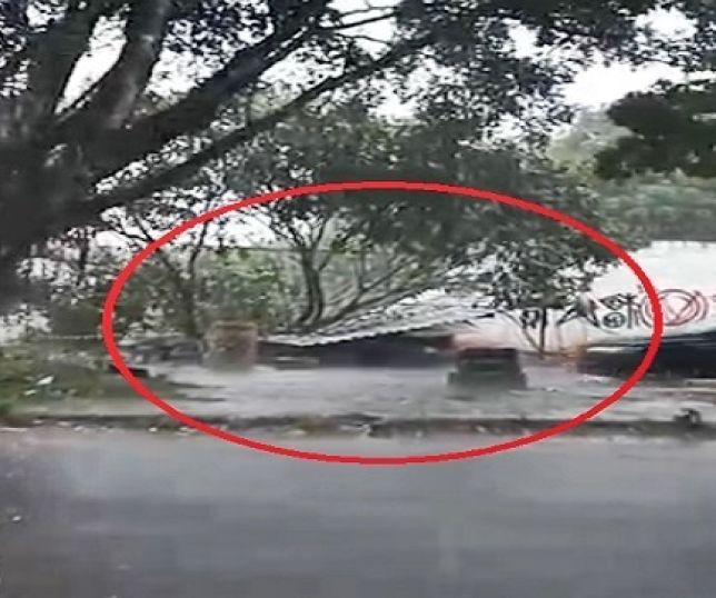 Forte chuva faz árvore desabar sobre borracharia em avenida no bairro Jorge Teixeira, Zona Leste de Manaus. VEJA VÍDEO